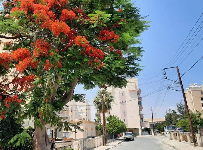 Large Apt 2 Bedrooms Sea View & 2 Balconies ラルナカ